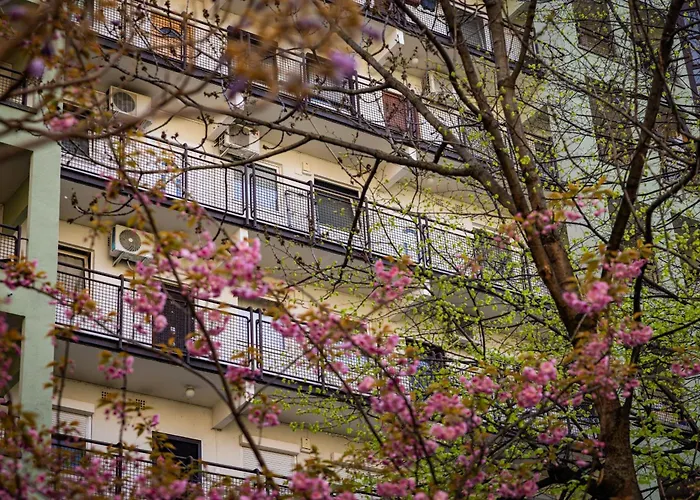 Neat & Comfy Near The Danube *