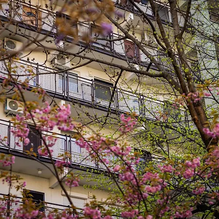Neat & Comfy Near The Danube *