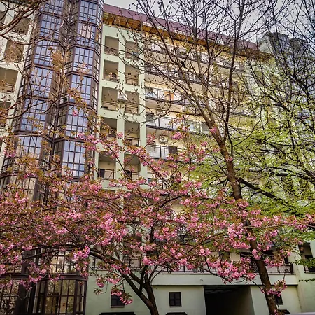 Neat & Comfy Near The Danube Daire